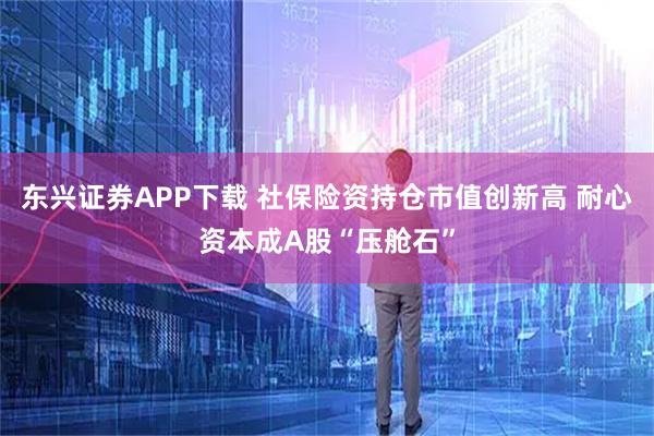 东兴证券APP下载 社保险资持仓市值创新高 耐心资本成A股“压舱石”