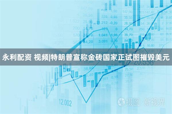 永利配资 视频|特朗普宣称金砖国家正试图摧毁美元