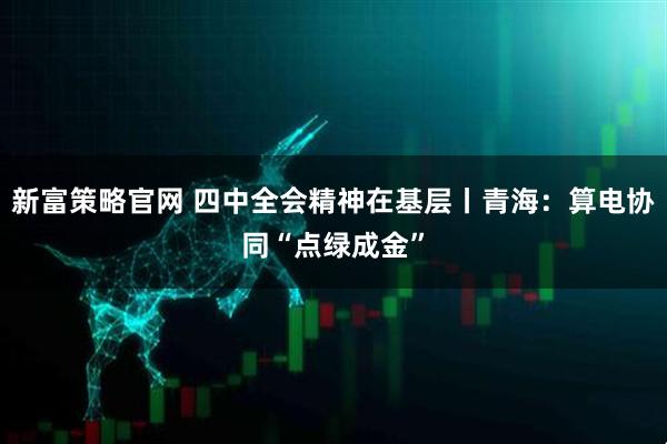 新富策略官网 四中全会精神在基层丨青海：算电协同“点绿成金”