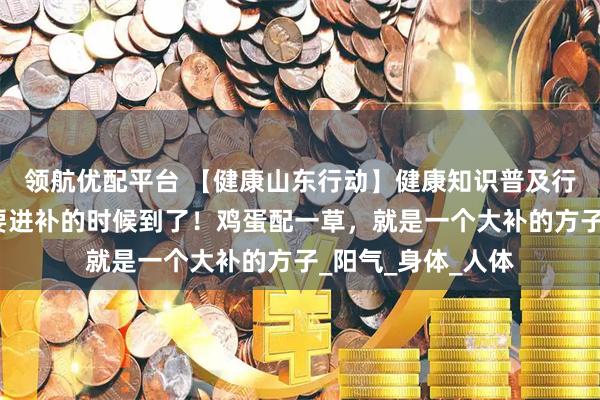 领航优配平台 【健康山东行动】健康知识普及行动｜一年中最需要进补的时候到了！鸡蛋配一草，就是一个大补的方子_阳气_身体_人体