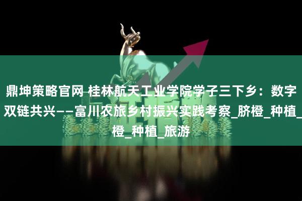 鼎坤策略官网 桂林航天工业学院学子三下乡：数字耘梦 双链共兴——富川农旅乡村振兴实践考察_脐橙_种植_旅游